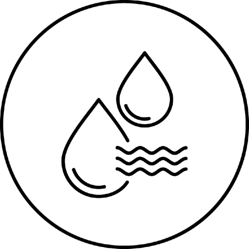 Longevity/Anti-Aging Solutions